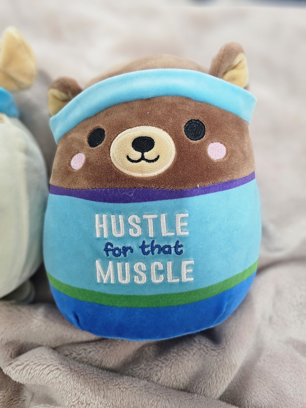Squishmallow Wellness Plushies